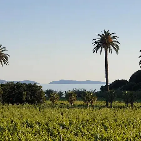 Cote Mer, Provence Style, Near St Tropez Villa La Croix-Valmer