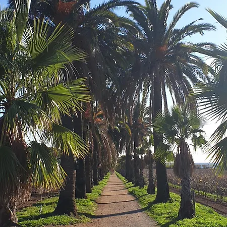 Willa Cote Mer, Provence Style, Near St Tropez *