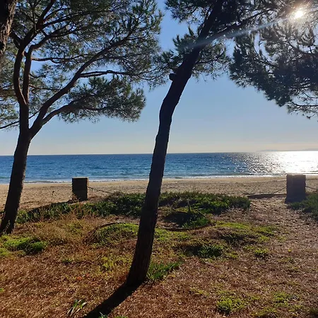 Côté Mer, Provence Style, Near St Tropez * La Croix-Valmer
