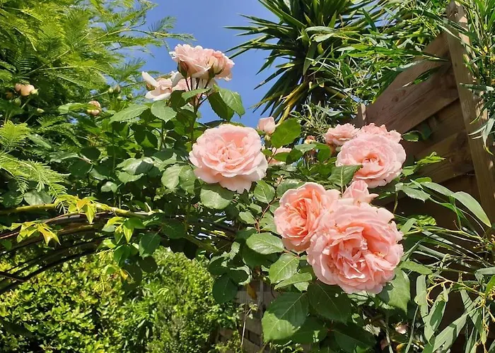 Cote Mer, Provence Style, Near St Tropez Βίλα *