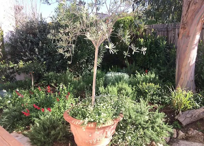 Cote Mer, Provence Style, Near St Tropez Βίλα