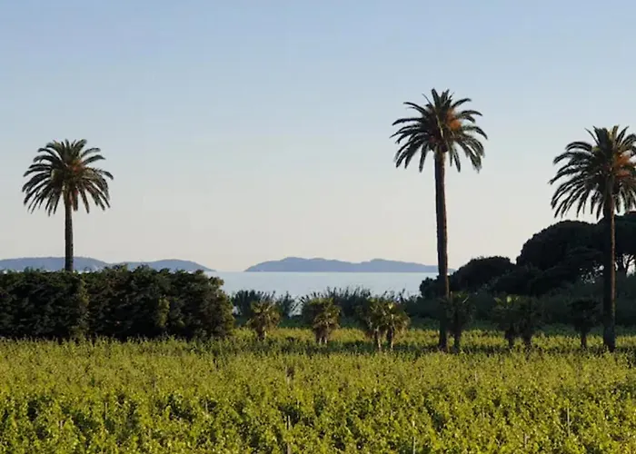 Cote Mer, Provence Style, Near St Tropez Βίλα La Croix-Valmer