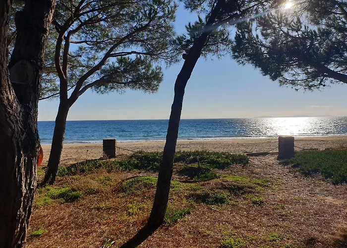 Cote Mer, Provence Style, Near St Tropez * La Croix-Valmer